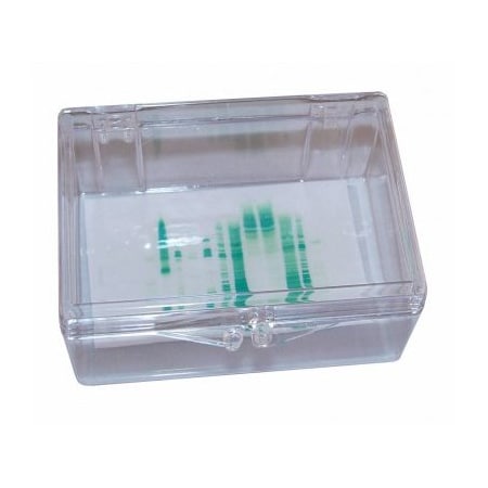 Gary Plastic Mini Blotting Containers, Clear, 7.2x5x2.5, 6/PK 248715